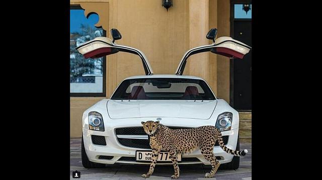 Humaid Albuqaish presume de sus lujosos autos y de sus "adorables" mascotas en su cuenta de Instagram. (fotos: @humaidalbuqaish)