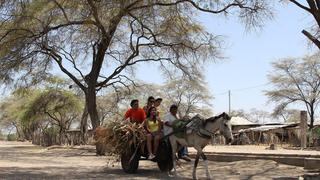 Piura: el recorrido que todo viajero debe hacer en Chulucanas