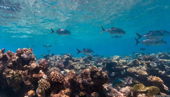 Por primera vez está disponible el mapeo en 3D de un lugar bajo el agua, en este caso la Gran Barrera de Coral, en la costa nororiental de Australia.