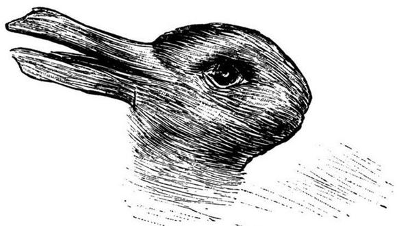 La IA de Google ve un pájaro. Pero con otra perspectiva puede ver a un conejo. (Foto: difusión)