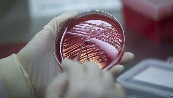 Las bacterias también aprenden a base de estímulos