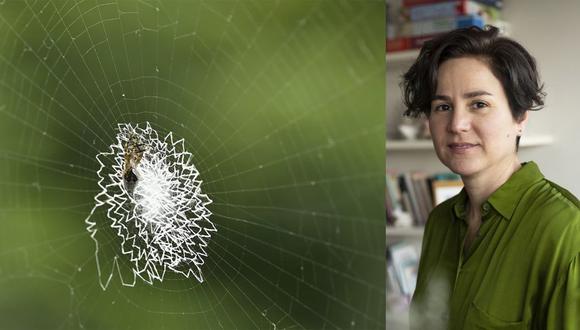 Lorena Noblecilla (Lima, 1977) incluye como parte de la muestra "Lección de historia natural" dos videos de una araña tejiendo su red y mudando de piel. (Foto de la artista: Erika Stockholm)