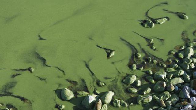 ¿Cómo se creó el aire que respiramos? - 6