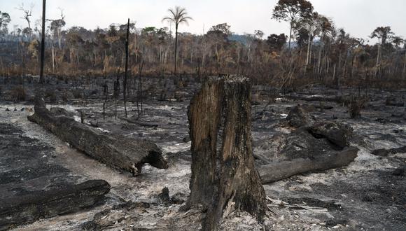 Brasil extinguió el incendio en el Parque Nacional Campo Ferruginoso, al sur del estado de Pará. (AP).