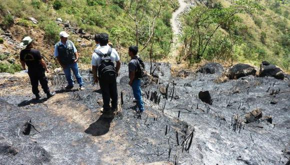 Piura: incendio destruyó más de 500 hectáreas de bosque