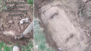 Halla una “caja secreta de concreto” enterrada en su jardín cuando hacía limpieza