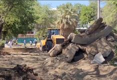 Atentado ambiental en Piura: comienza la tala de árboles para polémica obra de ‘Parque de las Aguas’