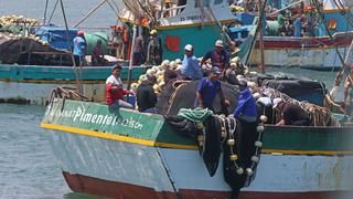 Perú: formalización pesquera está por vencer y miles de pescadores podrían quedar en la ilegalidad 