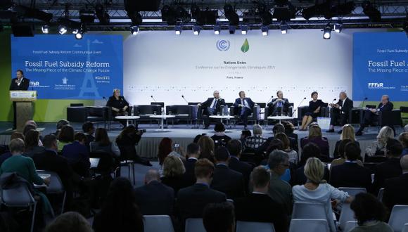 Cumbre de París hace enérgico llamamiento a preservar la Tierra