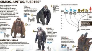 Pequeñas diferencias nos distancian del “planeta de los simios”