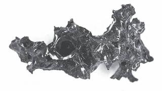 Cómo la erupción del Vesubio hace casi 2.000 años “convirtió” un cerebro en vidrio