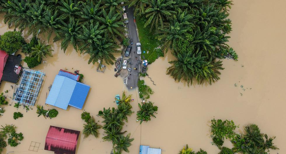 Al menos cuatro personas murieron y casi 41.000 fueron evacuadas en Malasia en las últimas semanas, después de que las inundaciones causadas por lluvias torrenciales "inusuales" que duraron varios días arrasaran varios estados. (Foto: AFP)