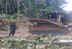 Menonitas en Perú: fiscalía sorprende a grupo talando sin autorización y ordena paralizar deforestación en Loreto
