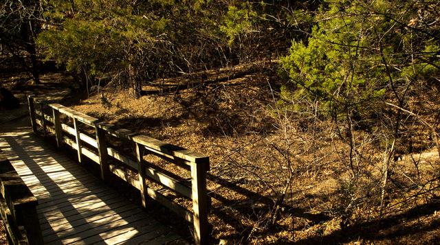 Ocho actividades para hacer gratis en tu viaje a Dallas - 9