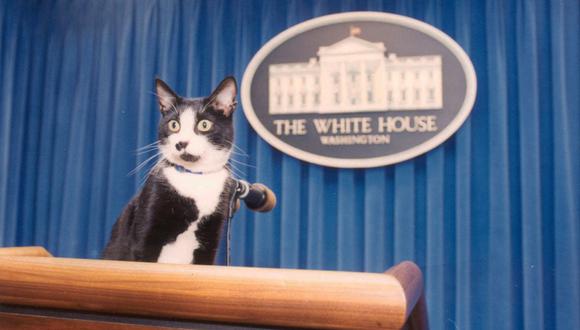 Socks era un personaje constante en la sala de prensa de la Casa Blanca. | Foto: The U.S. National Archives