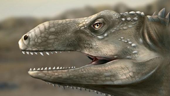 Reconstrucción artística del reptil prehistórico Pagosvenator candelariensis. Foto: Renata Cunha / UFRGS)