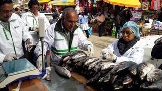 Huancayo: decomisan 25 kilos de carne de pescado descompuesta