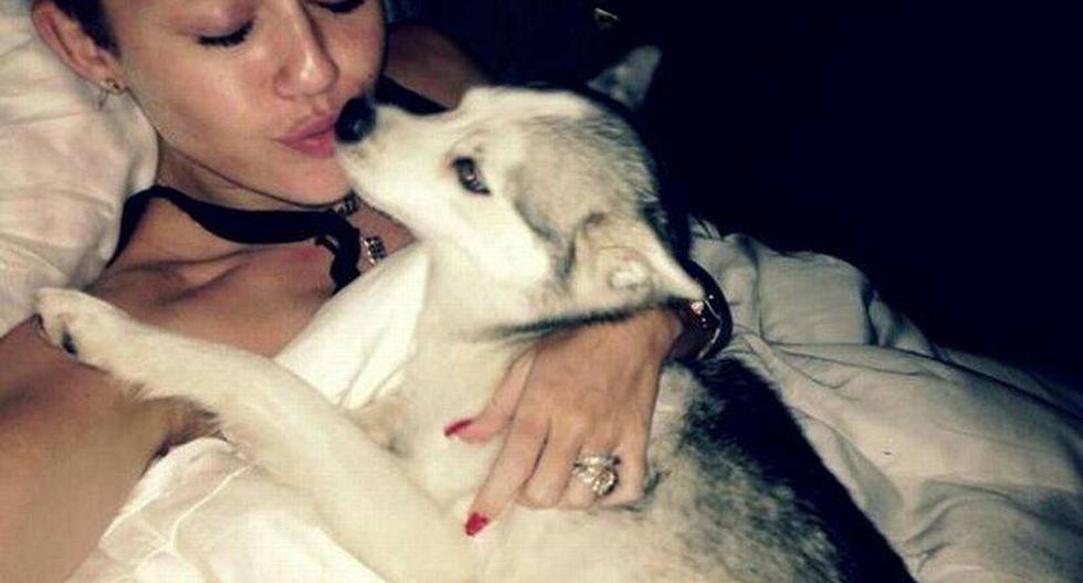 Una de las últimas fotos de Miley junto a su perro (Foto: @mileycyrus)