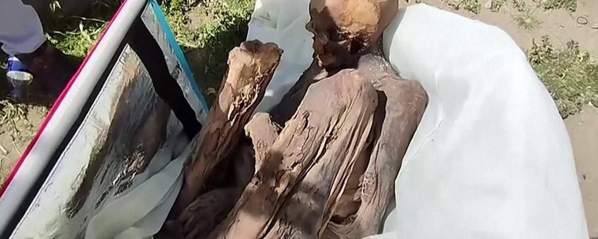 Más de 20 momias peruanas fueron sacadas ilegalmente del país en el mercado negro 