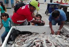 Perú: consumo per cápita de pescado creció entre 2010 y 2015