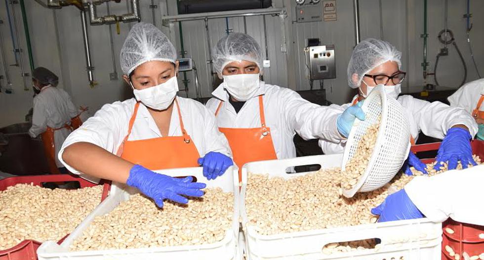 La Universidad San Ignacio de Loyola está procesando 5 toneladas de alimentos en su planta agroindustrial que serán donados a los damnificados por los huaicos. (Foto: USIL)