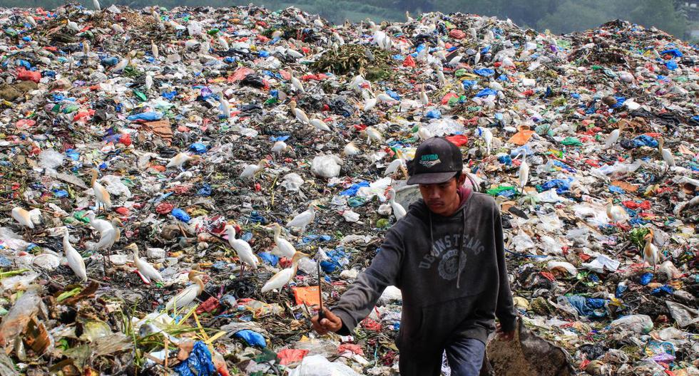 11.2 Billion Tons of Waste Flood the Planet on World Recycling Day