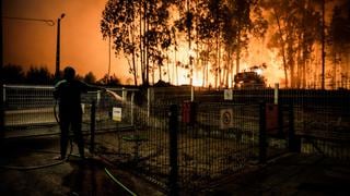 Gobierno de Portugal decretará el estado de calamidad tras incendio de 25.000ha