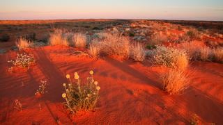Recorre el impresionante desierto de Simpson en Australia