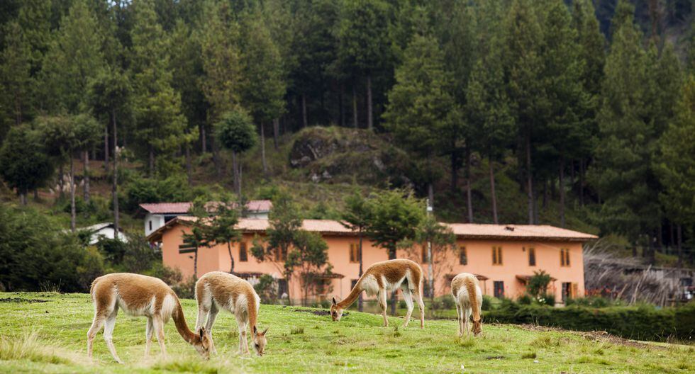 Cajamarca un día en la Granja Porcón, un atractivo ideal para el