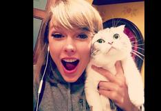 Taylor Swift: su gato conquista con peculiar manera de sentarse | VIDEO