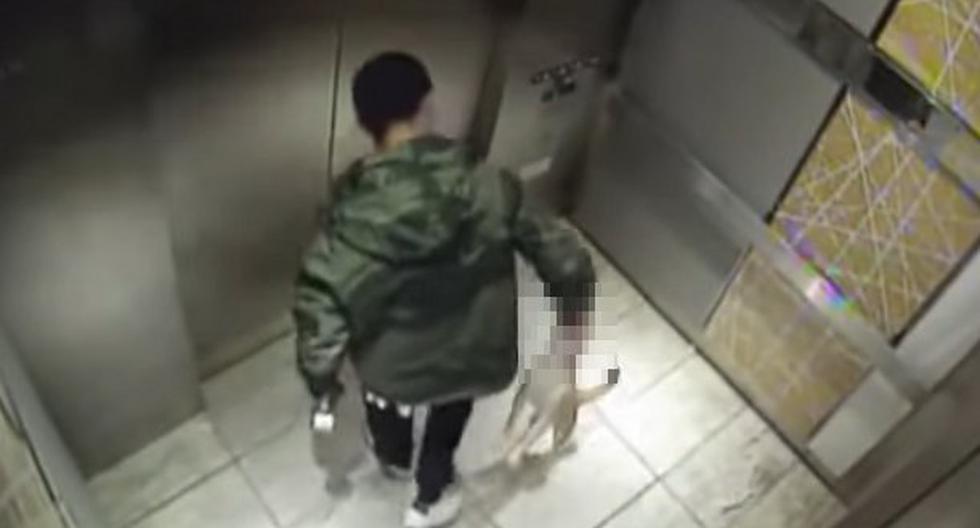 Video viral en YouTube: condenan a jovencito por maltratar a su perro. (Foto: YouTube)