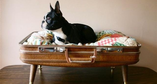 Puedes utilizar una vieja maleta que tienes guardada, colocarle una almohada y convertirla en una cama. (Foto: Littlebigflat)