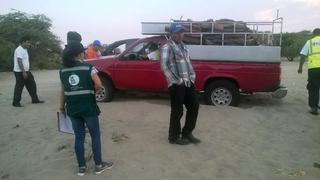 Piura: intervienen camioneta con leña de algarrobo ilegal