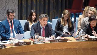 El Perú presidirá el Consejo de Seguridad de la ONU durante abril