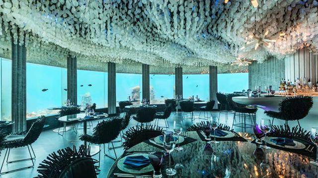 Acércate a la naturaleza cenando en este restaurante submarino - 1