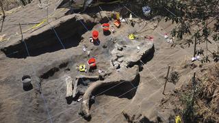 FOTOS: en México rescatan restos de mamut con un novedoso método arqueológico