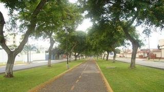 Ciclovía de avenida Salaverry quedará restringida por obras de rehabilitación: conoce el plan de desvíos