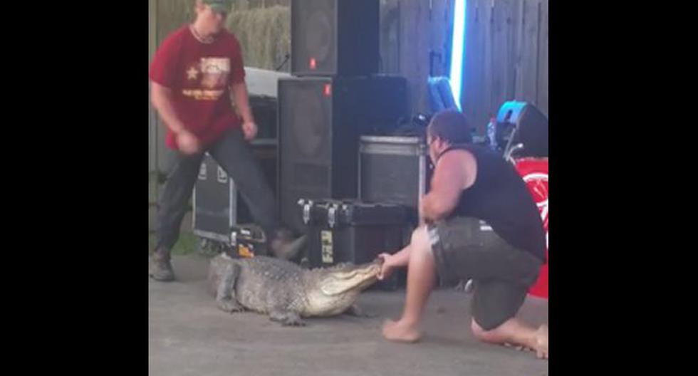 Shows con animales salvajes siempre son peligrosos. (Foto: captura)