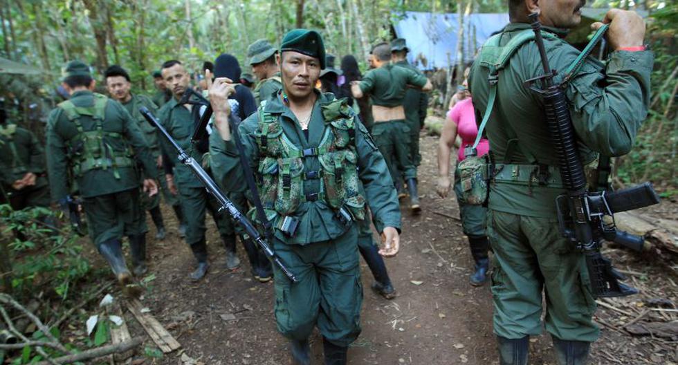 El Gobierno colombiano negó que exista un plan para asesinar a los guerrilleros de las FARC que fueron amnistiados (EFE)
