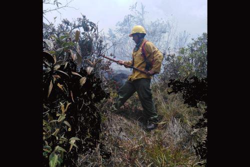 Machu Picchu: se registra incendio forestal en santuario histórico