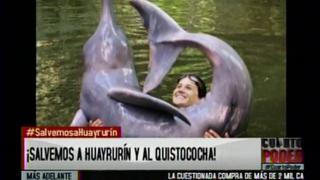 Delfín emblema del zoológico de Iquitos en situación crítica