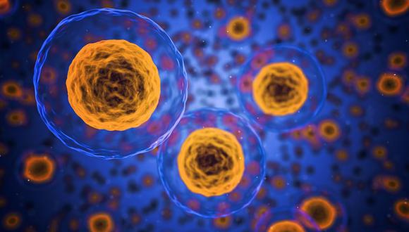 Los científicos conocían que el oxígeno era importante para las células, pero no entendían aún los procesos que estaban detrás. (Foto: Pixabay)