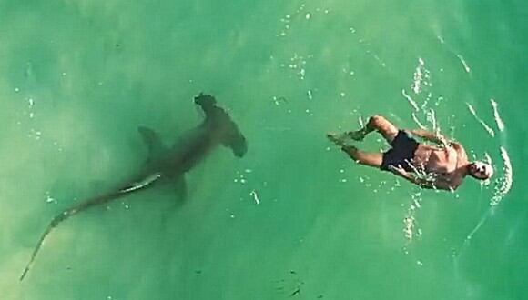 Escalofriante vídeo de cómo un tiburón martillo se acerca hasta un surfista en Estados Unidos. (Foto: captura Instagram | jasonmac7)