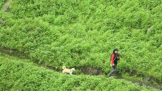 Las lomas de Lima y dos planes para proteger 19.400 hectáreas de biodiversidad | FOTOS