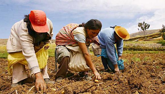 La norma busca impulsar la agricultura familiar. (Foto: Midagri)