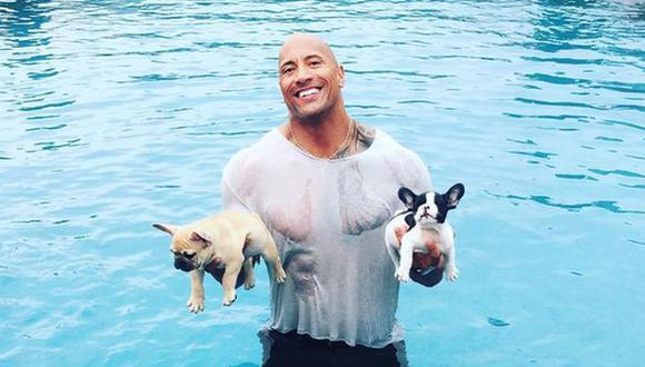 Dwayne Johnson salva a cachorro de ahogarse