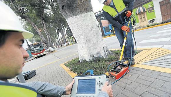 Expertos de la empresa Ciudad Jardín trabajan en el escaneo de los 86 ficus de la Av. Pedro de Osma, debido a la caída de un ejemplar en marzo de este año. (Lino Chipana / El Comercio)