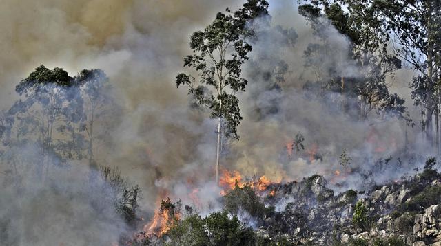 Bomberos luchan contra más de 130 incendios al norte de España - 12