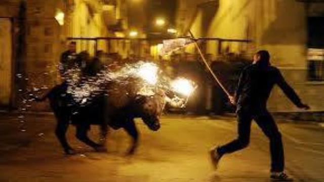 Facebook: polémica en España por tortura de toros con fuego - 1