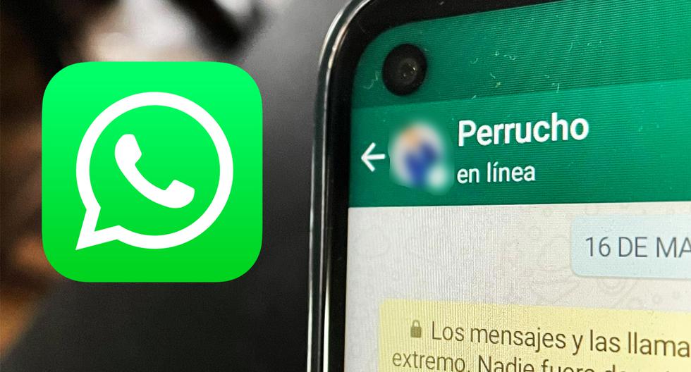 Whatsapp 2021 Cómo Leer Tus Mensajes De Whatsapp Sin Aparecer En Línea Aplicaciones Apps 7808